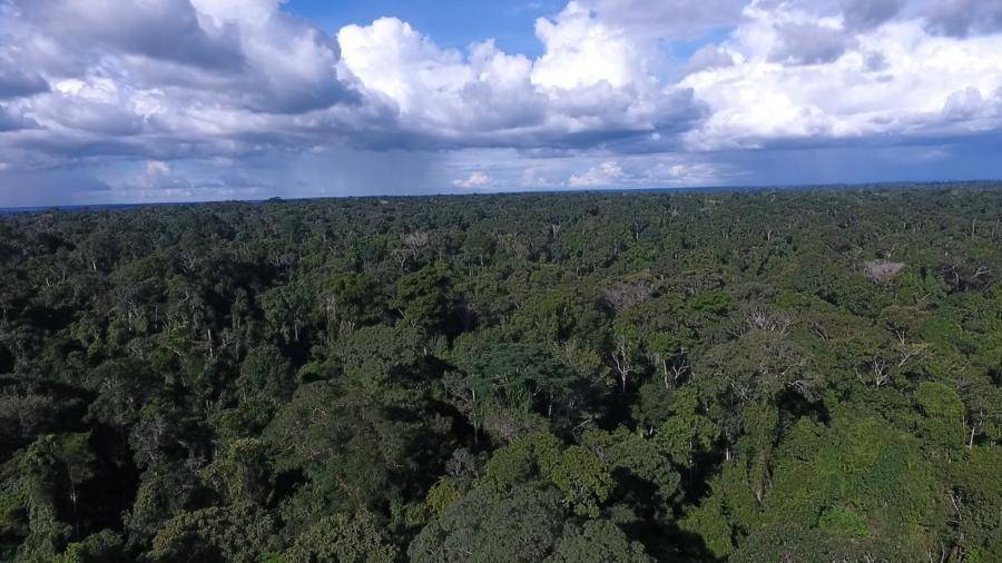 Floresta Nacional do Tapajós é uma das unidades de conservação mais visitadas do Norte 