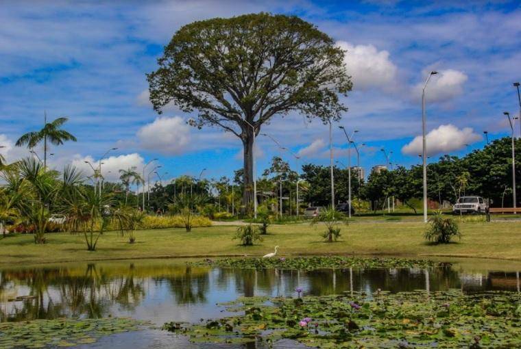 Campanha “Um Dia no Parque” celebra áreas protegidas do Pará 