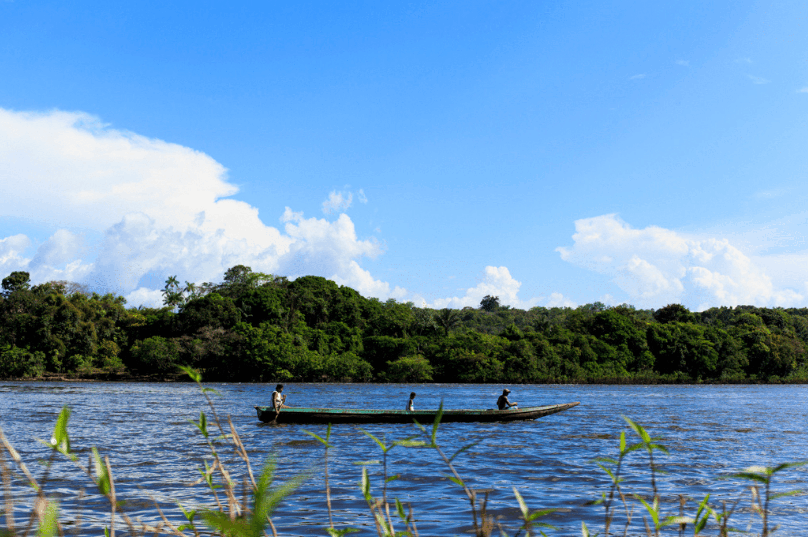 Unidades de Conservação do Norte do Pará completam 15 anos, e mapa é lançado para celebrar a data 